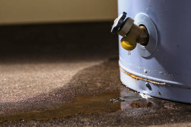 Best Residential water damage restoration  in Sweet Springs, MO