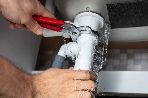 Best Professional water damage repair  in Sweet Springs, MO