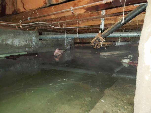 Water damage restoration process in Sweet Springs, MO