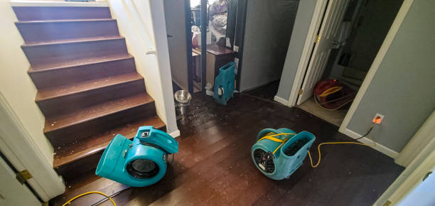 Best Fire Damage Restoration  in Sweet Springs, MO