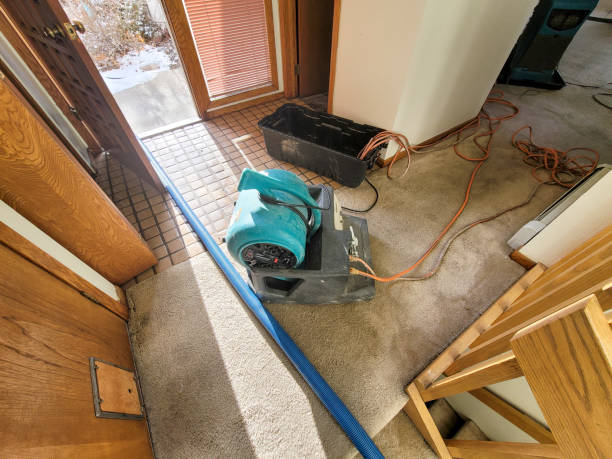 Best Water damage restoration near me  in Sweet Springs, MO
