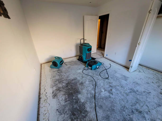 Best Carpet water damage restoration  in Sweet Springs, MO