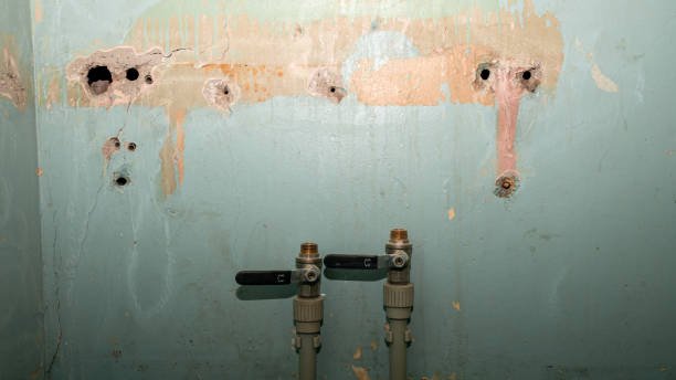 Best Water damage restoration specialists  in Sweet Springs, MO