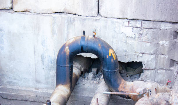 Best Flood restoration services  in Sweet Springs, MO