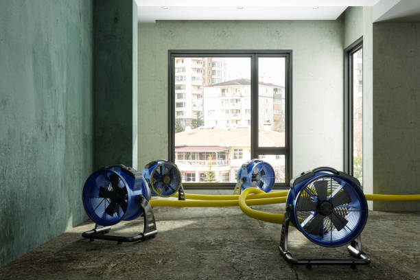 Water damage restoration mold remediation in Sweet Springs, MO