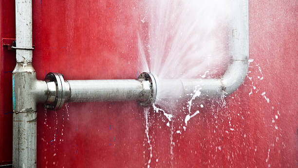 Best Water damage contractors near me  in Sweet Springs, MO